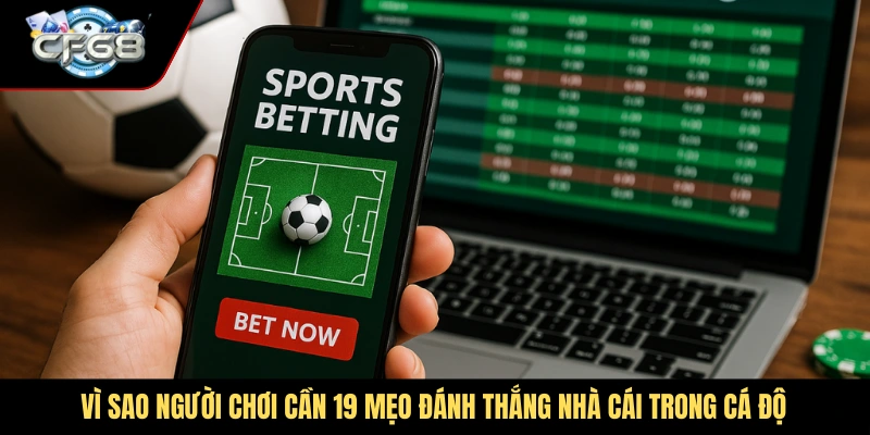 Vì sao người chơi cần 19 mẹo đánh thắng nhà cái trong cá độ